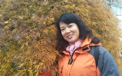 好莱坞最新大片